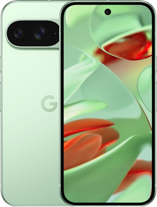 Attēls no Smartfon Pixel 9 5G 12/256GB Zielony  (GA05844-GB)