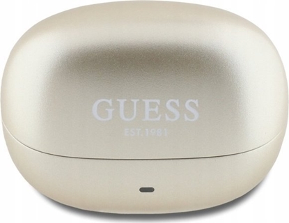 Изображение Guess GUTWST88MCTGD TWS Headphones