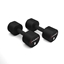 Picture of Hanteles HPT08 2 x 8 KG POLYURETHANE DUMBBELLS TPU HMS