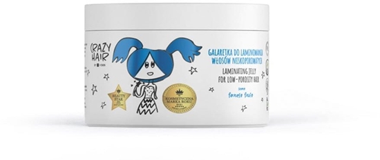 Picture of HISKIN Crazy Hair Galaretka do laminowania wosów niskoporowatych - Forest Fruit (owoce lene) 300 ml