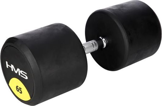 Picture of HMS hantel HG PRO gumowany 1 x 65 kg