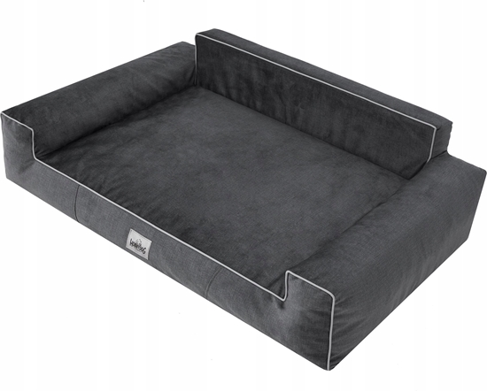 Изображение Hobbydog L GLAMOUR NOWY CZARNY FANCY