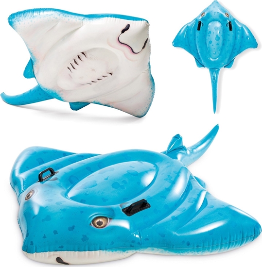 Picture of Intex Zabawka d/pyw.paszczka 185x145 57576NP 25788