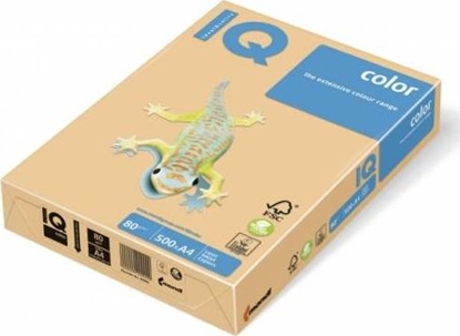 Attēls no IQ Color Papier ksero IQ Color A4 160g zoty 250 arkuszy