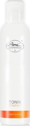 Picture of Jadwiga Tonik zioowy do cery tustej 200ml