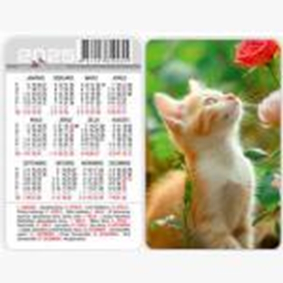 Picture of Kabatas kalendārs 2025g.