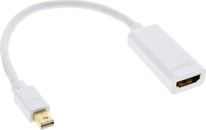 Attēls no Kabel InLine DisplayPort Mini - HDMI 0.15m biay (17193E)