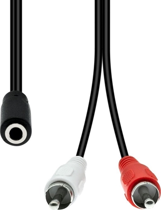 Attēls no Kabel ProXtend Mini-Jack 3-Pin to 2 x RCA Cable F-M Black 20cm