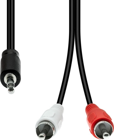 Picture of Kabel ProXtend Mini-Jack 3-Pin to 2 x RCA Cable M-M Black 1.5M