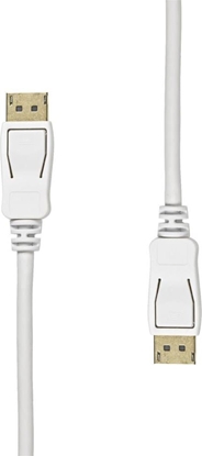 Изображение Kabel ProXtend ProXtend DisplayPort Cable 1.4 5M White