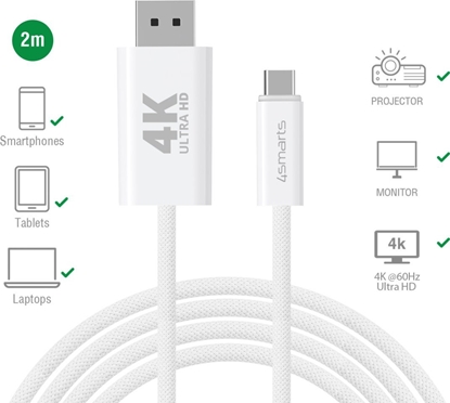 Attēls no Kabel USB 4smarts USB-C - DisplayPort 2 m Biay (540958)