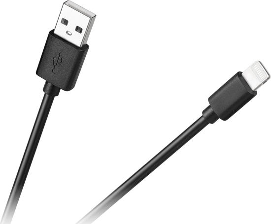 Picture of Kabel USB Cabletech USB-A - Lightning 1 m Czarny (KPO3946)
