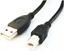 Изображение Kabel USB Gembird USB-A - USB-B 4.5 m Czarny (CCPUSB2AMBM15)