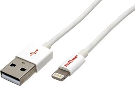 Изображение Kabel USB Roline USB-A - 1.8 m Biay (JAB-2130785)