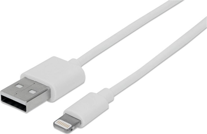 Attēls no Kabel USB Techly USB-A - Apple 30-Pin 1 m Biay (ICOC APP-8WH1)