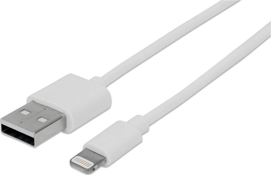 Picture of Kabel USB Techly USB-A - Apple 30-Pin 1 m Biay (ICOC APP-8WH1)
