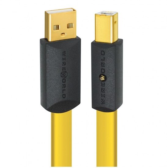 Picture of Kabel USB C2G USB-A - USB-B 2 m óty (8110070313688)