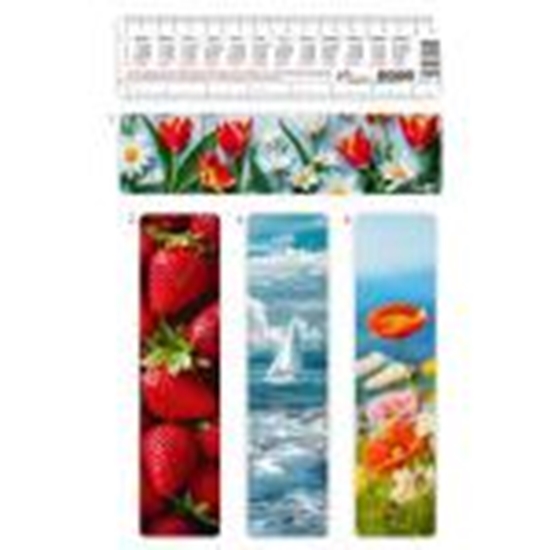 Picture of Kalendārs-grāmatzīme 2025g.