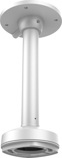 Picture of Level One LevelOne CAS-7324 drošības kameras piederums Montēt