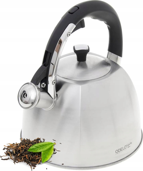 Picture of Kamille CZAJNIK NIEELEKTRYCZNY OD 2086 INOX 3 L EMILIO