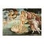Picture of Kanvas 70x100 The Birth of Venus