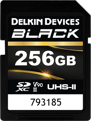 Изображение Karta Delkin Black Rugged SDXC 256 GB Class 10 UHS-II V90 (DSDBV90256BX)
