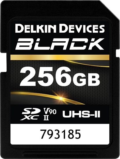 Изображение Karta Delkin Black Rugged SDXC 256 GB Class 10 UHS-II V90 (DSDBV90256BX)