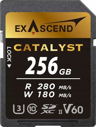 Изображение Karta ExAscend Karta pamici ExAscend Catalyst UHS-II V60 256GB