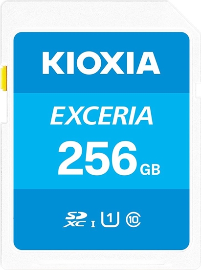 Picture of Karta Kioxia Exceria SDXC 256 GB Class 10 UHS-I/U1  (LNEX1L256GG4)