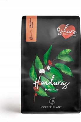 Attēls no Kawa ziarnista Coffee Plant COFFEE PLANT - Honduras La Paz Marcala Washed Espresso 250g