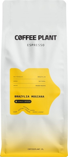 Picture of Kawa ziarnista Coffee Plant Espresso Brazylia Mogiana 1 kg