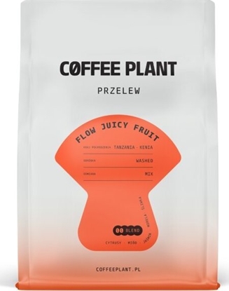 Изображение Kawa ziarnista Coffee Plant FLOW Juicy Fruit 250 g