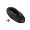 Изображение Kensington Pro Fit Ergo Wireless Mouse - Black