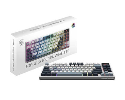Изображение Klawiatura gamingowa Forge GK600 TKL SKY US