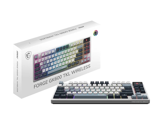 Изображение Klawiatura gamingowa Forge GK600 TKL SKY US