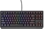 Attēls no Klawiatura Genesis Thor 230 TKL Outemu Red (NKG-2209)
