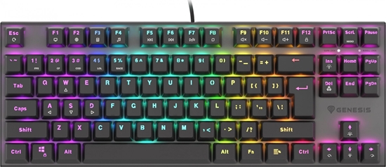 Picture of Klawiatura Genesis Thor 303 TKL - Outemu Red (NKG-1883)