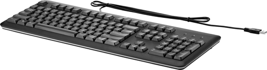 Picture of Klawiatura HP  (USB Keyboard for PC US INT)