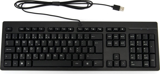 Picture of Klawiatura HP 125 (266C9AAR#ABH)