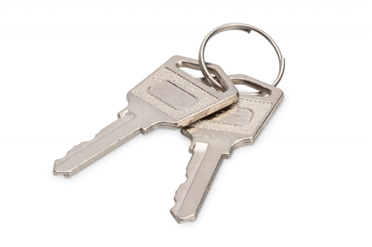 Attēls no Digitus Keys for loading lockers (trolleys)