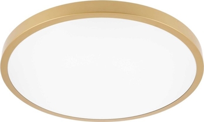 Attēls no Lampa sufitowa GTV Atol LD-ATOL32W-NW-40 plafon lampa sufitowa 1x32W 2560lm 4000K IP54 zota