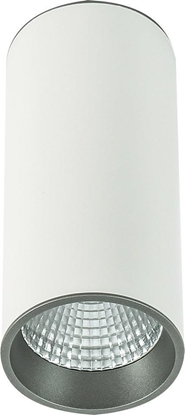 Attēls no Lampa sufitowa Italux Moldes Big WH/GR Ceiling 3000K SLC7392/12W 3000K WH+GR