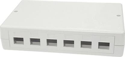 Изображение Lanview Surface mount box for 6/12 x