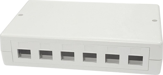 Изображение Lanview Surface mount box for 6/12 x