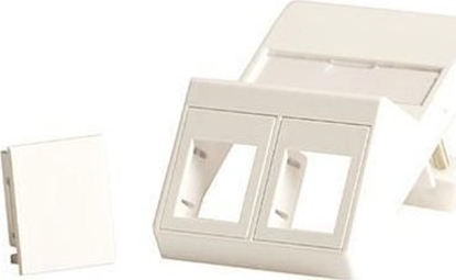Изображение Lanview Wall plate, angled, for 2 x