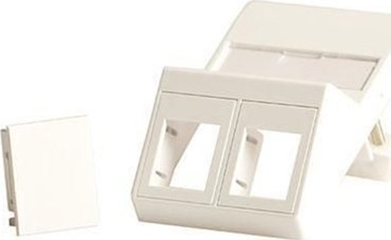 Изображение Lanview Wall plate, angled, for 2 x