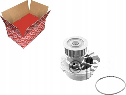 Изображение Lena adowarka Workies