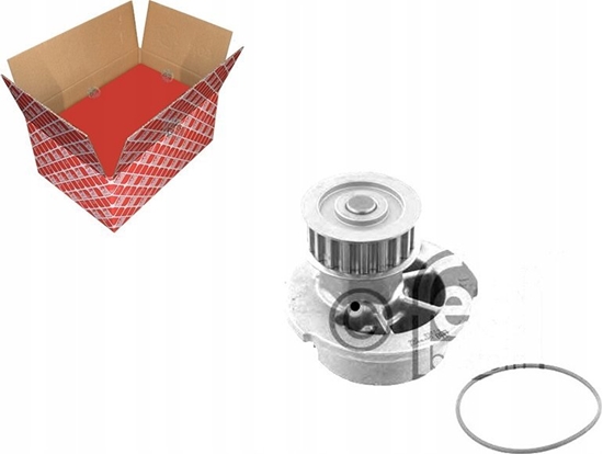 Picture of Lena adowarka Workies