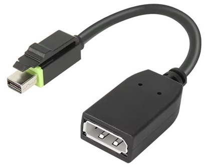 Picture of Lenovo 4X90Q93975 video cable adapter Mini DisplayPort DisplayPort Black