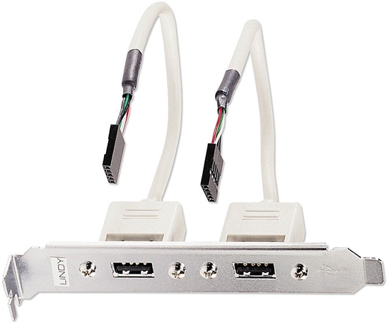 Picture of Lindy PC Back Plate, USB 2.0, 2 Port